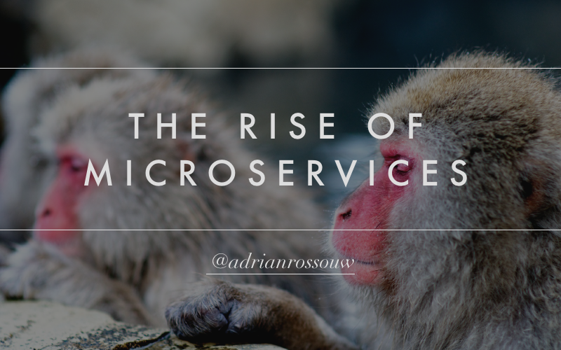 rise of microservices slides